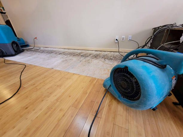 Professional Ceiling Water Damage Repair technician working in Owatonna, MN